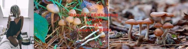 марки lsd Алзамай