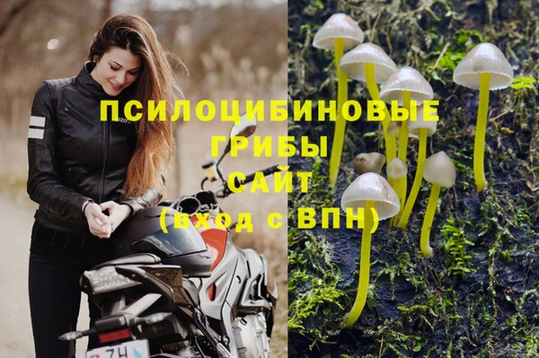 марки nbome Аркадак