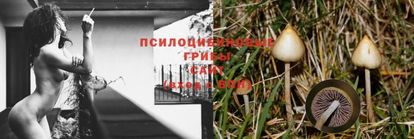 амф Алексеевка