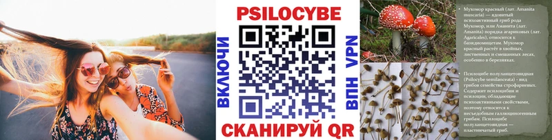 Галлюциногенные грибы Magic Shrooms  дарнет шоп  Выкса 