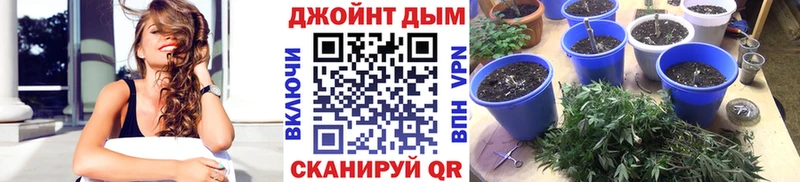МАРИХУАНА SATIVA & INDICA Выкса